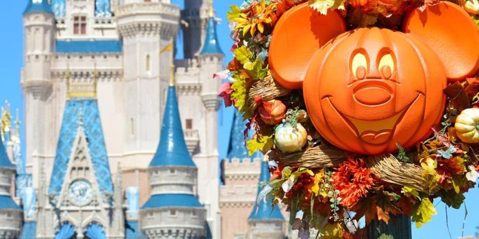 1024x768 Walt Disney World Resort Wallpaper for Desktop, Laptop and SmartPhones