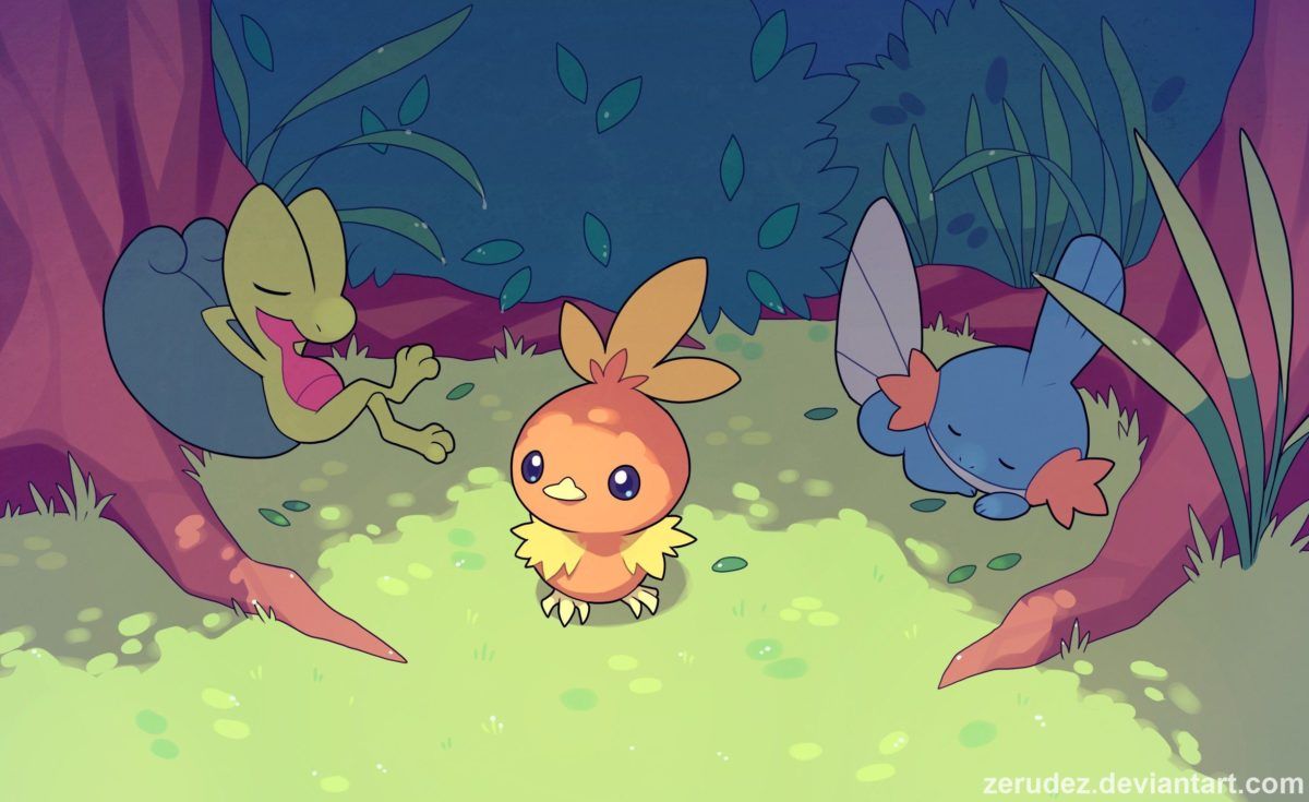 1200x735 Torchic, Pokémon, Treecko, Mudkip HD Wallpapers / Desktop and Mobile