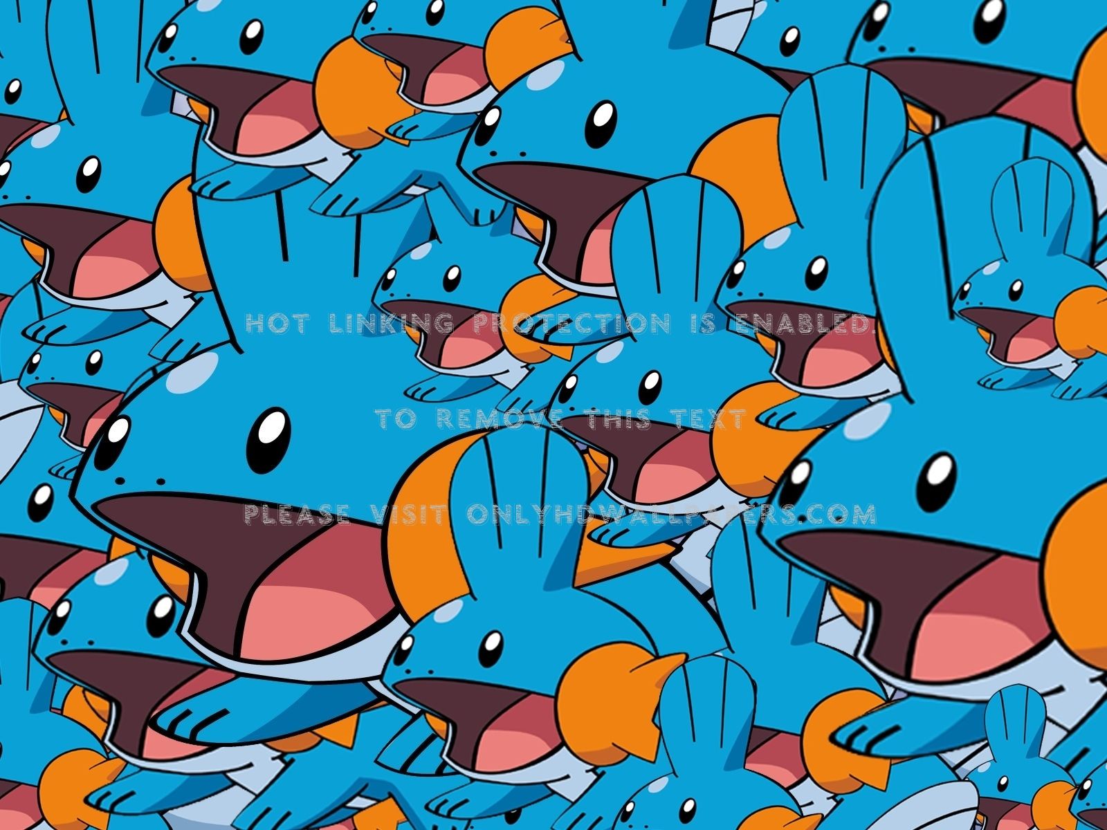 1600x1200 Pokemon Mudkip (#1511921) - HD Wallpaper Download