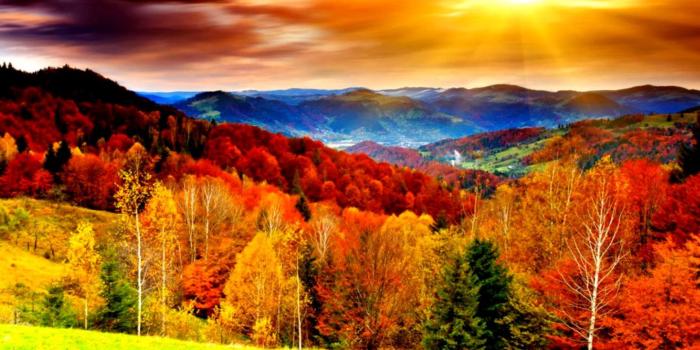 1440x910 Disney Fall Wallpaper - Wallpapers for Desktop