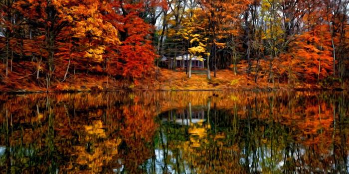 1920x1219 Free Disney Fall Wallpaper Plaatje Herfst Animaatjes Nl