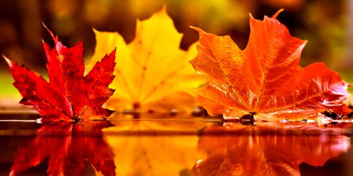 3840x2112 5 Simple Fall Date Ideas | Autumn | November wallpaper, November