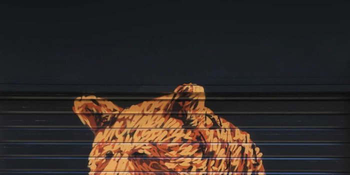 1440x2560 Sad Bear iPhone Wallpaper | 