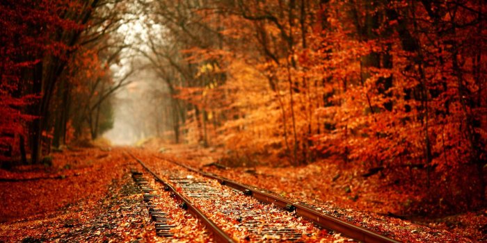 1920x1200 35+ Autumn Leaves Desktop Wallpapers - Download at WallpaperBro
