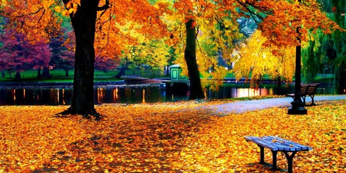 1366x768 10 Top Fall Colors Wallpaper Background FULL HD 1920×1080 For PC