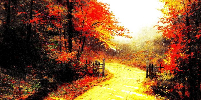 3376x2807 Fall, Leaves, Landscape, Free Images, Mac Backgrounds, Landscape
