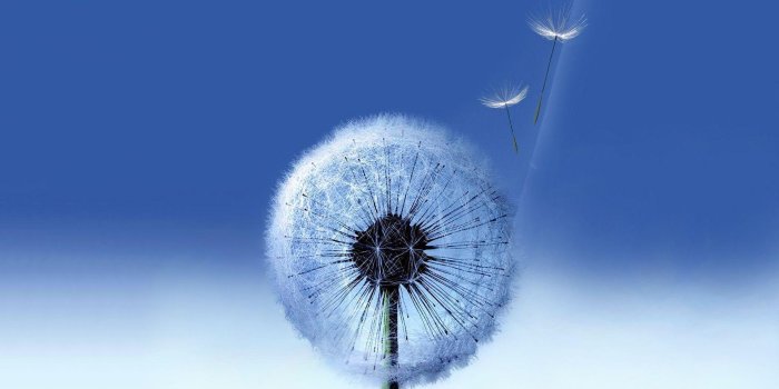 1920x1080 Full HD Wallpapers For Galaxy S3