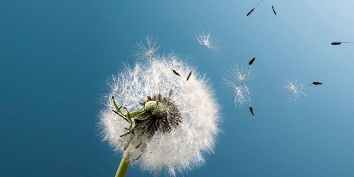 1440x1280 Samsung Galaxy S3 Wallpapers HD