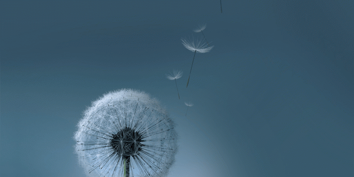 1280x1280 Samsung Galaxy S3 HD Wallpapers, PC Samsung Galaxy S3 HD Excellent