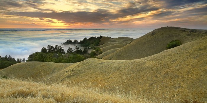 1280x840 Best 43+ Marin County Wallpaper on HipWallpaper | Cherokee County