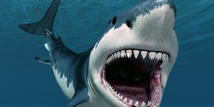 3840x2160 2503197 4k wallpaper ultra hd (3840x2160) | 4k wallpapers | Tokkoro