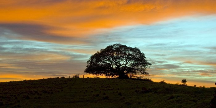 3840x2160 4K Ultra-HD 2160p Wallpaper Collection [2000+] - Album on Imgur