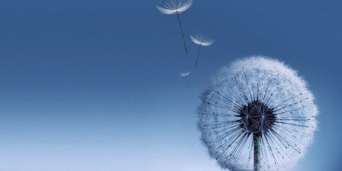 1920x1200 Samsung Galaxy S3 Wallpaper High Resolution - The Wallpaper