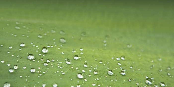 1280x1280 Download Samsung Galaxy S3 wallpaper - SamMobile