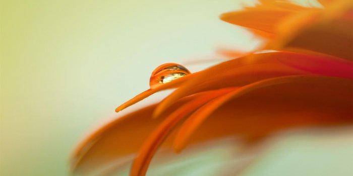 1280x1280 Download Samsung Galaxy S3 wallpaper - SamMobile