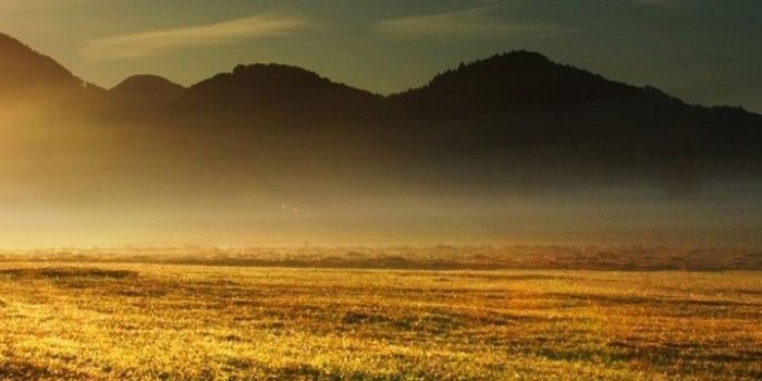 720x1280 720x1280 Dark Tree Sun Light & Field Galaxy s3 wallpaper