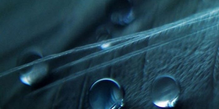 720x1280 Samsung Galaxy S3 – Harriet Baumer – 720x1280 px for desktop and mobile