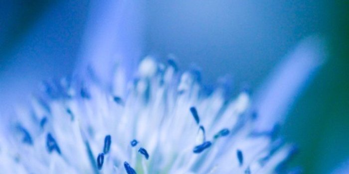 720x1280 Christmas Wallpaper For Samsung Galaxy S3 | inceptionwallpaper.com