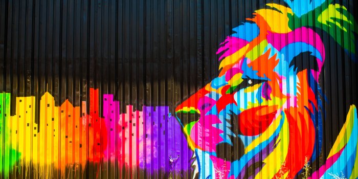 6616x4281 Multicolored Lion Graffiti | The best wallpaper backgrounds | Lion