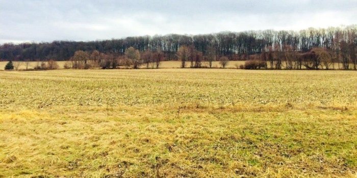 1024x768 55 Acre Swath Of Chester County Land Up For Sale For $2.4 Million