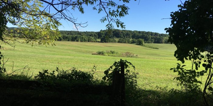 1920x1440 1500 Acres Preserved in Chester County - Nave Newell