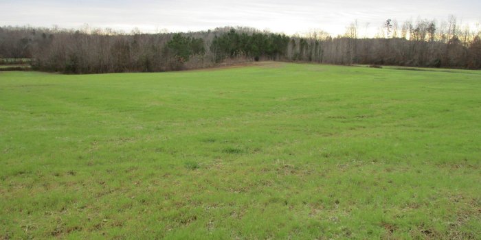 1600x1200 109 Acres Hunting & Cropland; Chester County, TN– Land for Sale