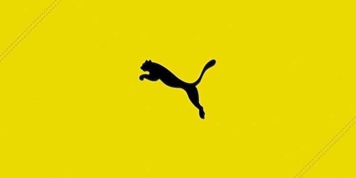 1024x768 Puma Logo Wallpapers