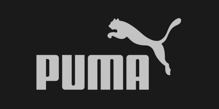 1600x1280 47+] Puma Wallpaper HD on WallpaperSafari