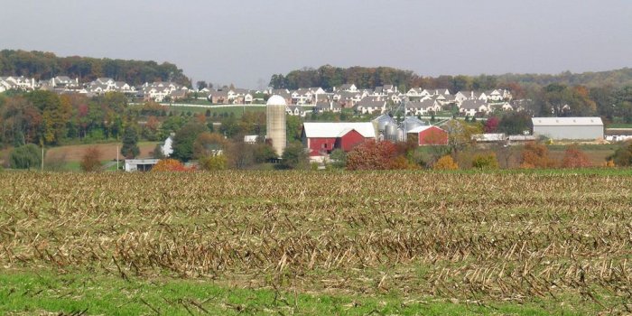 1024x768 County's Ag Industry Faces Significant Challenges