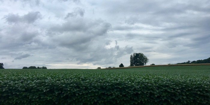 1024x768 Untitled | Chester County Ramblings