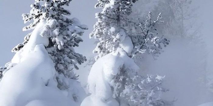 750x1334 25 Winter iPhone Wallpapers