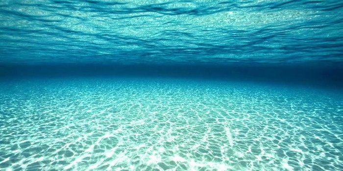 1393x961 Ocean Underwater Wallpaper Widescreen HD Wallpaper, Background Images