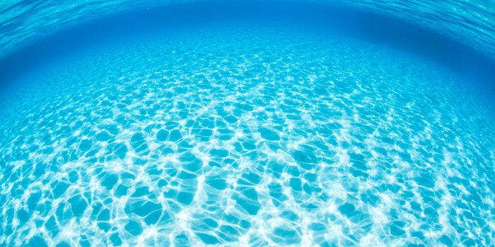 2560x1440 Underwater Ocean Wallpaper (57+ images)