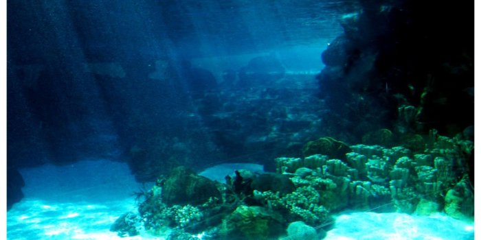 1504x1005 Underwater Ocean Floor Light Wallpaper Hd Desktop | Wallpapers Beautiful