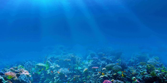 7776x4942 Live Wallpaper Hd Full Sea Ocean Underwater Rays - Modern 3d Tiles