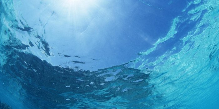 3840x2160 Underwater Ocean Wallpaper - (31+) Wallpaper Collections