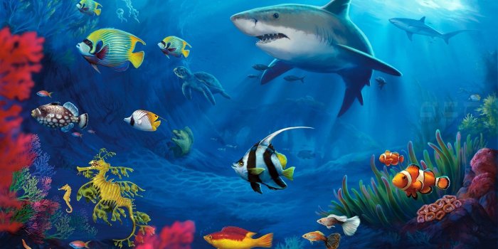 1920x1200 Underwater life wallpaper - Digital Art wallpapers - #22161