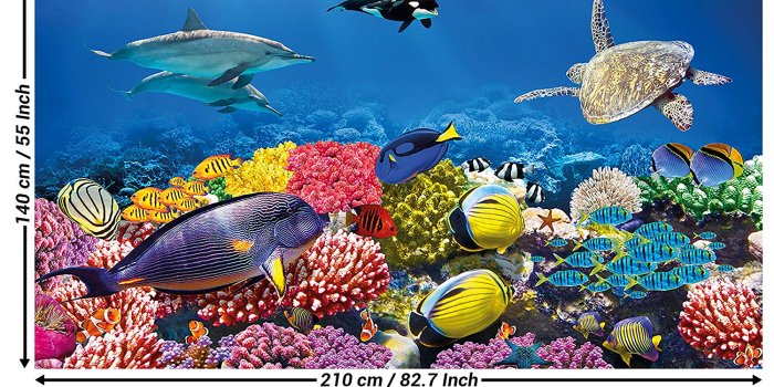 1500x1240 GREAT ART Wall Mural Aquarium- Walls Decoration Colourful Underwater World  Poster Sea Animals Ocean Fishes Wallpaper Dolphin Coral Reef 82.7x55 Inch
