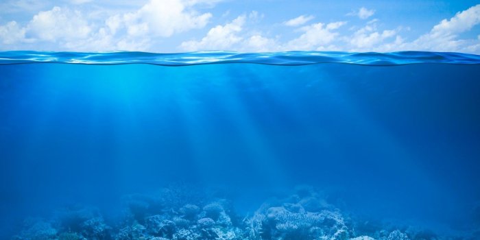 1332x850 Wallpaper sea, the ocean, underwater world, underwater, ocean