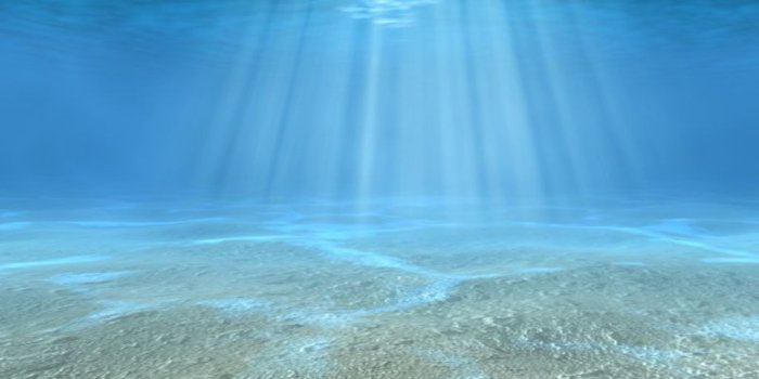 1024x768 Underwater Wallpapers - Top Free Underwater Backgrounds