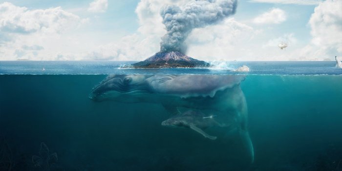 2560x1440 Under Ocean Wallpaper (69+ pictures)