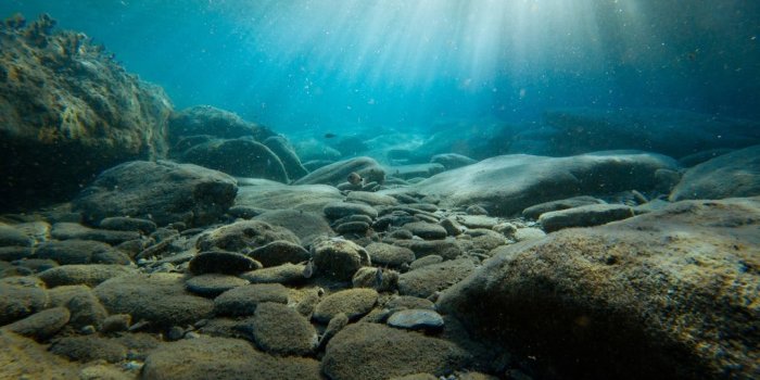 1080x810 100+ Underwater Images | Download Free Images & Stock Photos on Unsplash