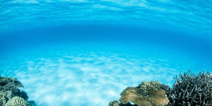 2560x1440 Underwater HD Wallpapers (74+ background pictures)