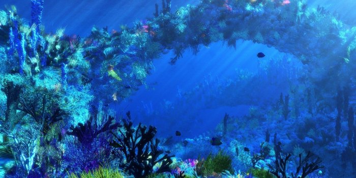 1920x1080 Under the Ocean Wallpaper (67+ images)