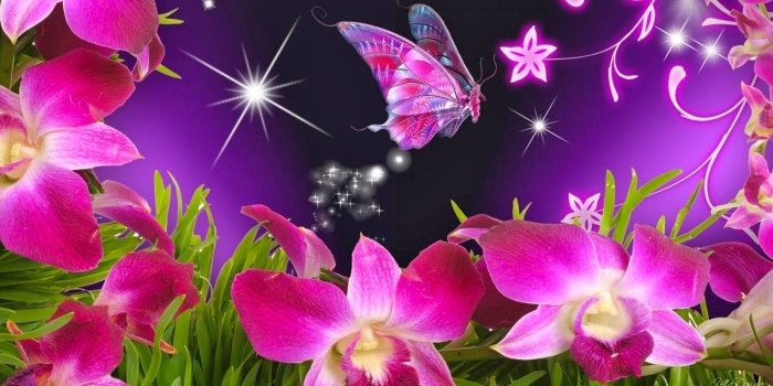 1600x900 48+] Beautiful Orchid Flower Wallpaper on WallpaperSafari