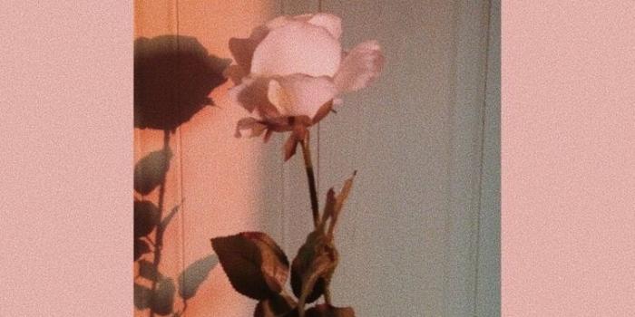 750x1333 P ➫ @ FOREVEREE | Wallpapers in 2019 | Aesthetic iphone wallpaper