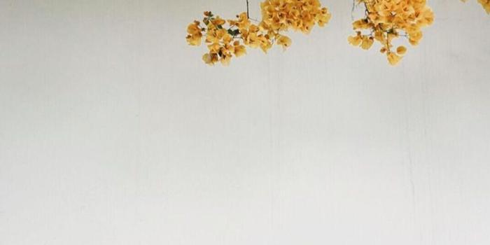 1000x1900 Image result for yellow tumblr wallpaper | Wallpaper | Locked