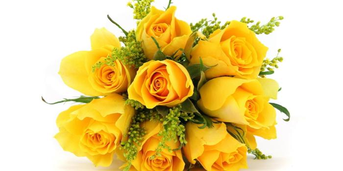 1920x1080 1385 Yellow Flower HD Wallpapers | Background Images