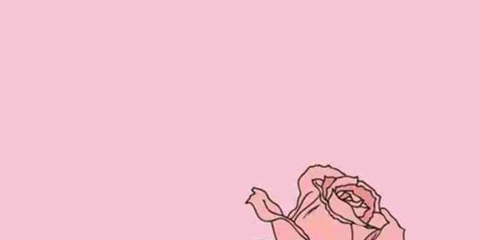 853x1517 Artsy Yellow Aesthetic Wallpaper – Free Download Wallpaper