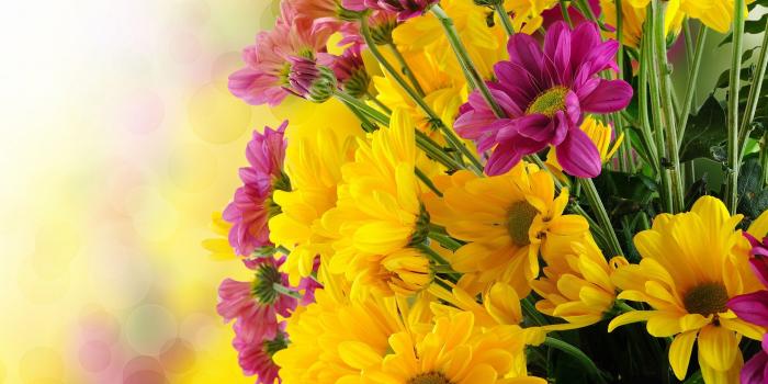 2560x1600 Yellow Flowers wallpaper | 2560x1600 | #51945